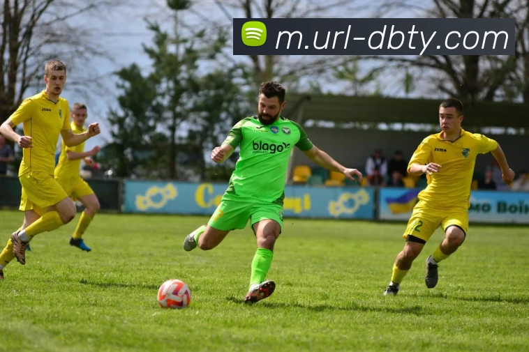 DB体育服务体系